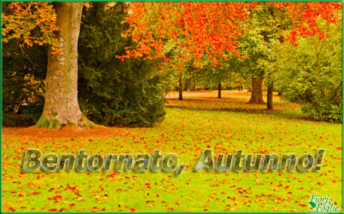 autunno500.jpg